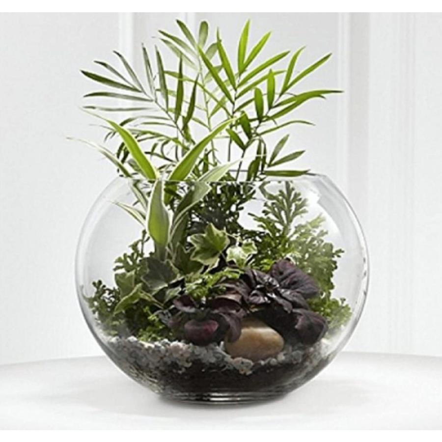 ガラス 容器 テーブル ボウル 金魚鉢 大 おしゃれ インテリア オブジェ アクアリウム テラリウム 花瓶 cm Rys 通販 Yahoo ショッピング