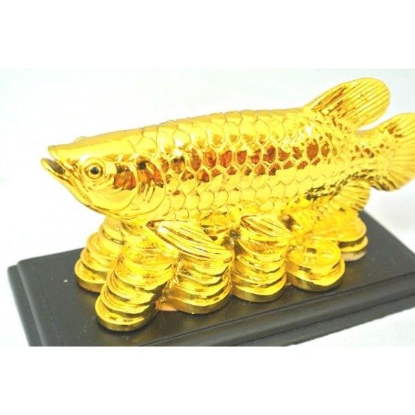 アロワナ 龍魚 台座付き 樹脂製置物 小 金色 金運 財運 : 横浜中華街龍