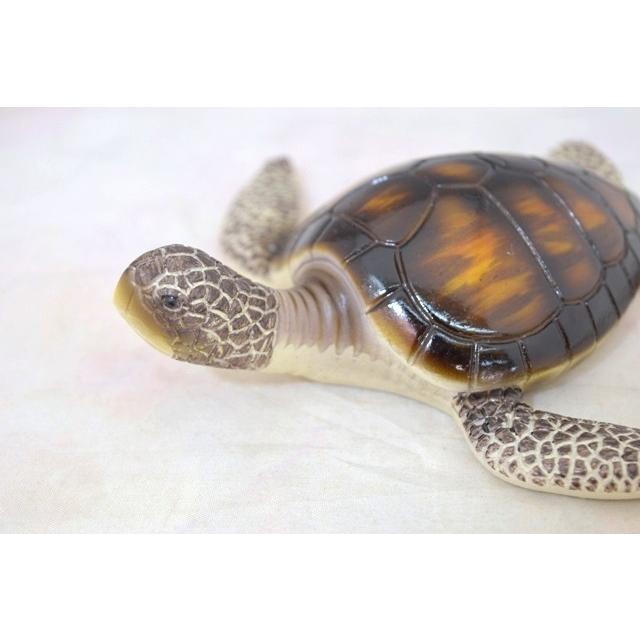 亀　置物 71lwxdU87sL._AC_UF350,