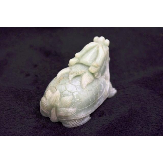龍亀 ドラゴンタートル ロングイ 翡翠 ジェード 天然石製置物 中