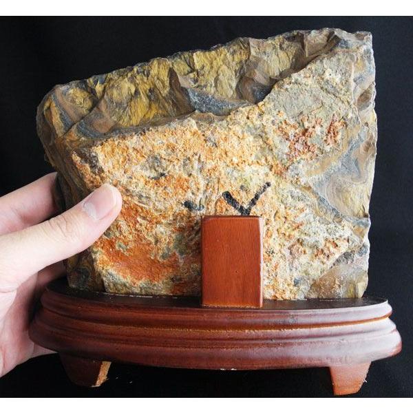 五本指皇帝龍 タイガーアイ 天然石製置物 風水インテリア 20cm |  | 04