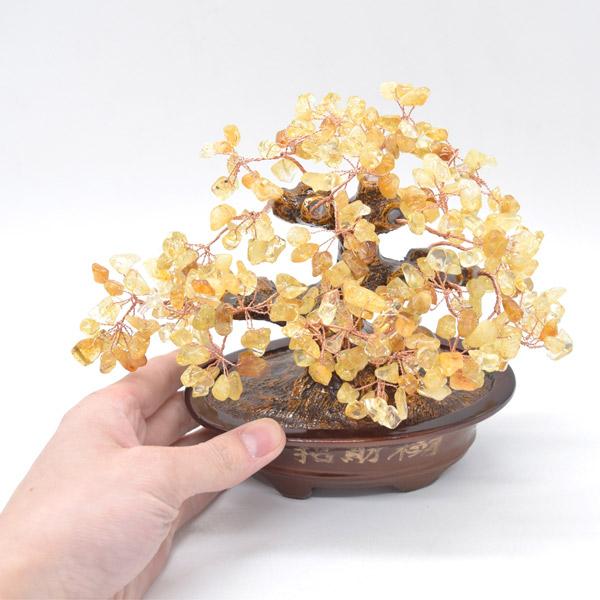 招財樹 シトリン 黄水晶 陶器製楕円台座 20cm 天然石置物 風水インテリア 茶色鉢 金運 財運 |  | 05