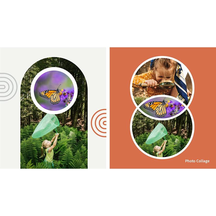 ソフトウェア Photoshop Elements 2023 日本語版 [ダウンロード版