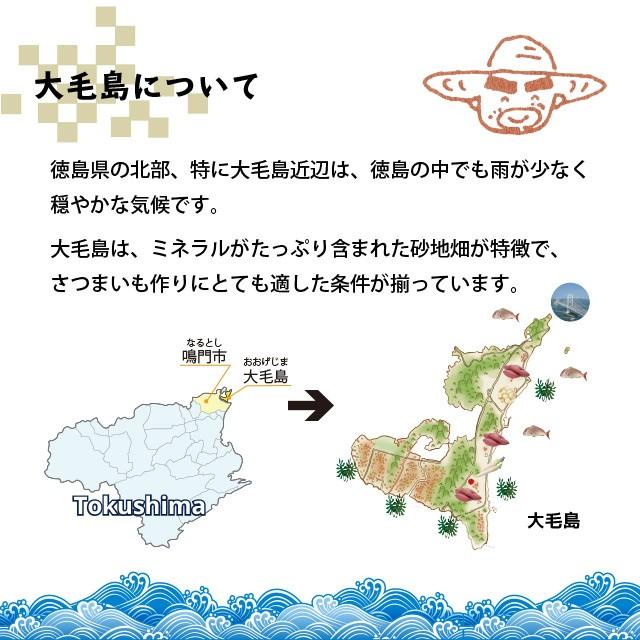 お百姓さんが作ったスイートポテト 1ケ 鳴門金時 丁井 のし スイーツ