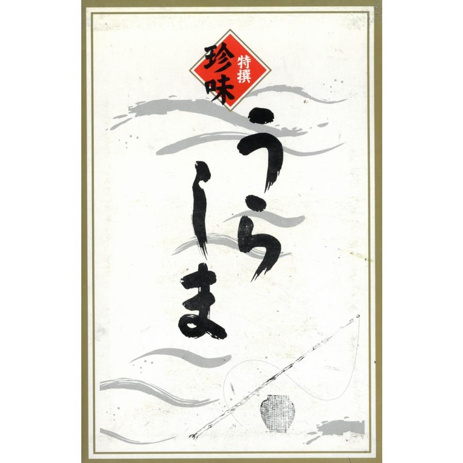 “特選珍味詰合せ“うらしま”　カメに乗っていざ龍宮！ |  | 01