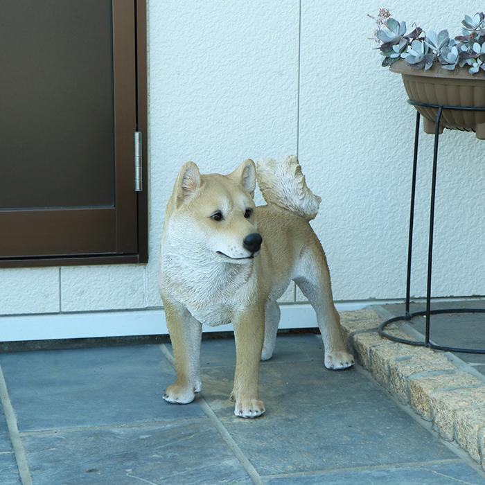 置物 犬 柴犬 玄関用 本物そっくり 実物大 リアル ドッグ オブジェ｜ryukaexandgarden｜03