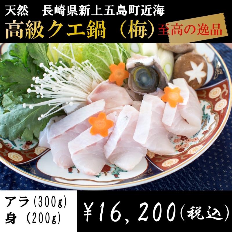 クエ お鍋用切り身約500g アラ付き 冷凍便 クエ鍋