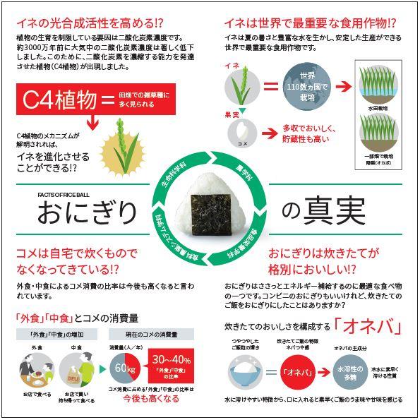 【龍谷米｜玄米｜5kg】2025年度新米｜龍谷大学農学部｜てんたかく｜恋の予感｜にこまる |  | 02