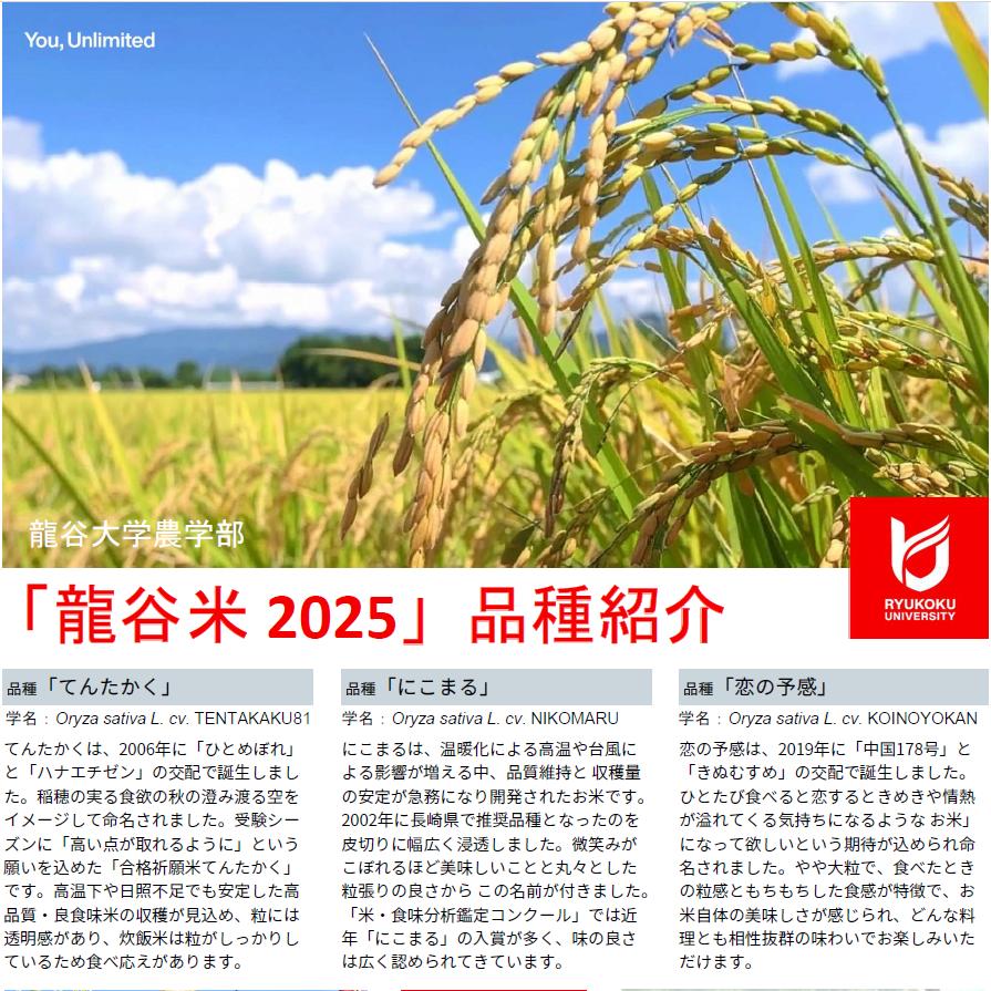 【龍谷の味5種セット】2025年度米｜5品種の詰め合わせ｜純米吟醸 龍谷・龍谷米・BEEFCURRY・ドリップコーヒー・ピーナッツの時間｜龍谷大学農学部 |  | 03
