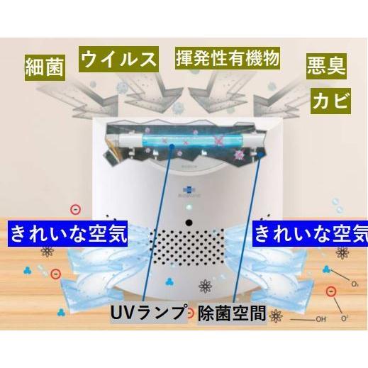 BioZone バイオゾーン 空気除菌機 オゾン脱臭機 WHO (世界保健 BioZone バイオゾーン 空気除菌機 オゾン脱臭機 WHO (世界保健