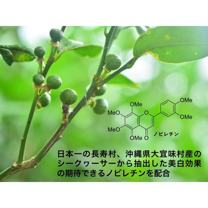 サンラバー　20代の為の沖縄産　男女兼用　日焼けを防ぐ化粧水　琉球大学開発支援事業から生まれた　ノビレチン配合　トライアル　お試し送料無料　10ml |  | 04