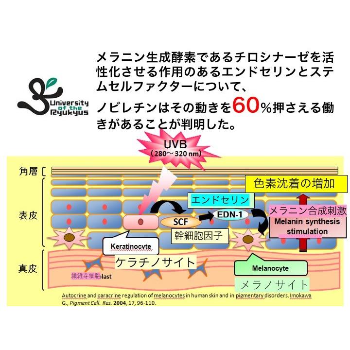 サンラバー　20代の為の沖縄産　男女兼用　日焼けを防ぐ化粧水　琉球大学開発支援事業から生まれた　ノビレチン配合　トライアル　お試し送料無料　10ml |  | 05
