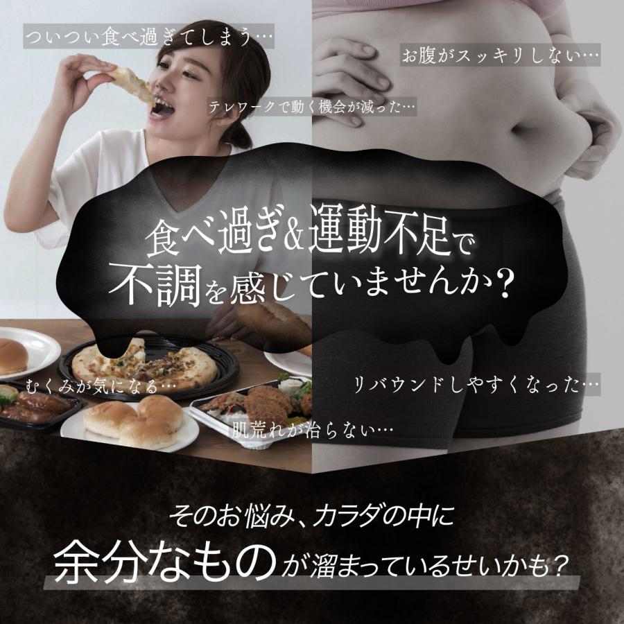 アクティブ チャコールウォーター 490ml 1ケース（24本） 送料無料 炭水 チャコールクレンズ charcoal 竹炭 活性炭 腸活_4