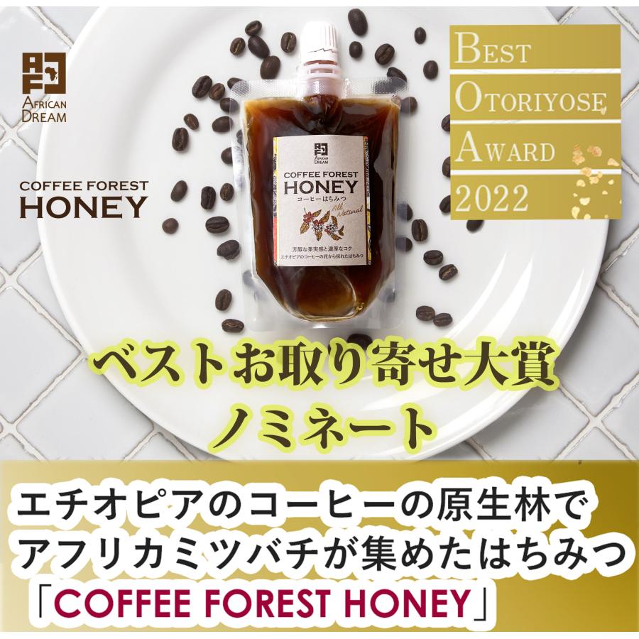 COFFEE FOREST HONEY コーヒーフォレストハニー 170g ×12 送料無料 はちみつ 生ハチミツ 自然食 非加熱 パウチ シロップ 砂糖 紅茶 ミネラル COFFEE FOREST HONEY コーヒーフォレストハニー 170g ×12 送料無料
