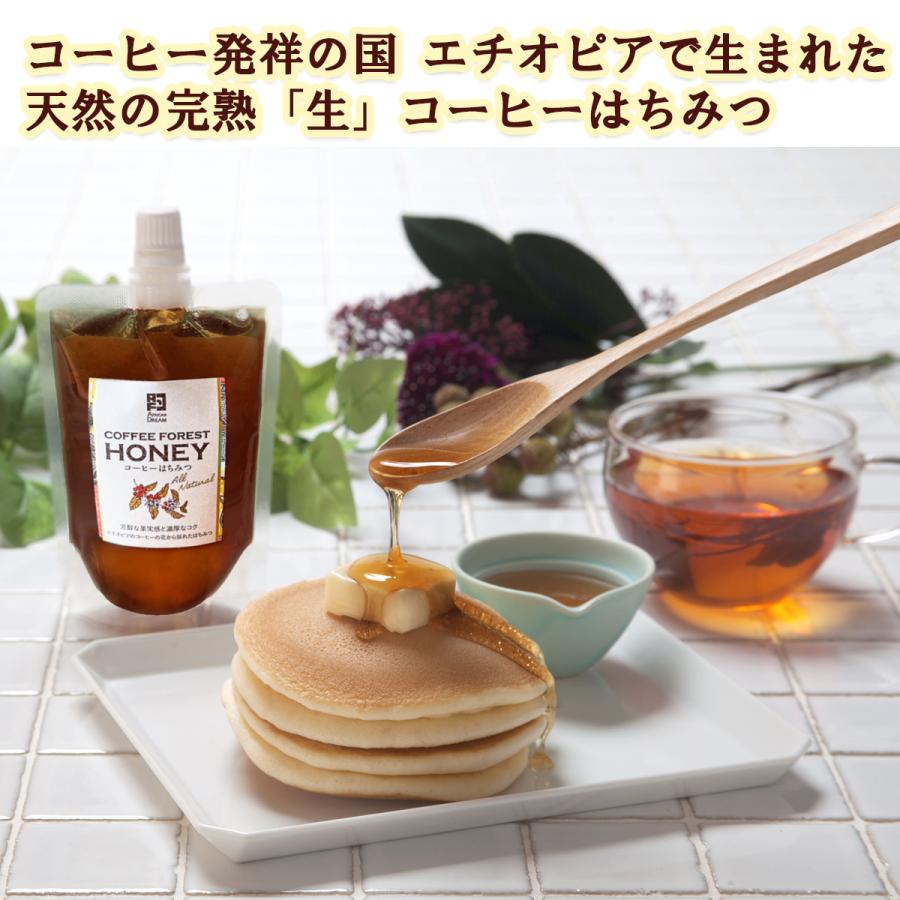 COFFEE FOREST HONEY コーヒーフォレストハニー 170g ×12 送料無料 はちみつ 生ハチミツ 自然食 非加熱 パウチ シロップ 砂糖 紅茶 ミネラルの画像