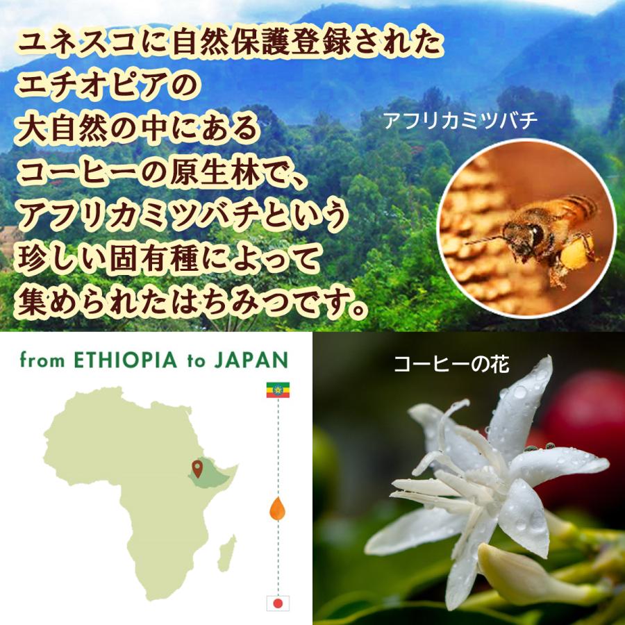 COFFEE FOREST HONEY コーヒーフォレストハニー 170g ×12 送料無料