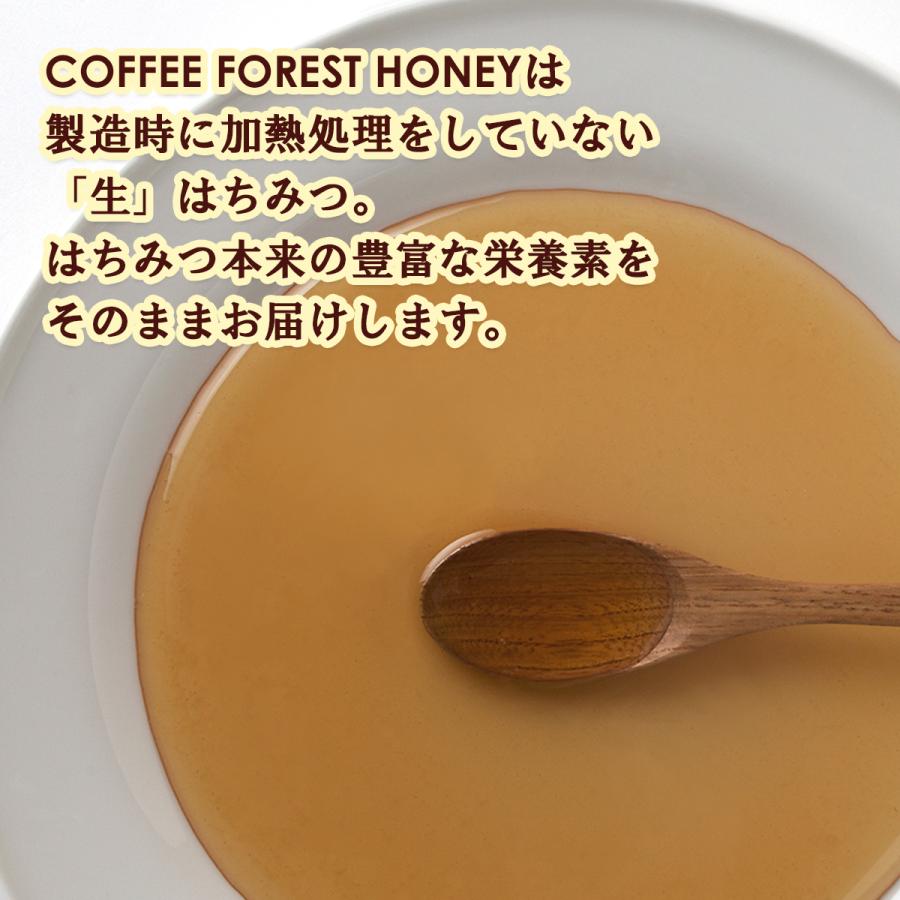 COFFEE FOREST HONEY コーヒーフォレストハニー 170g ×12 送料無料