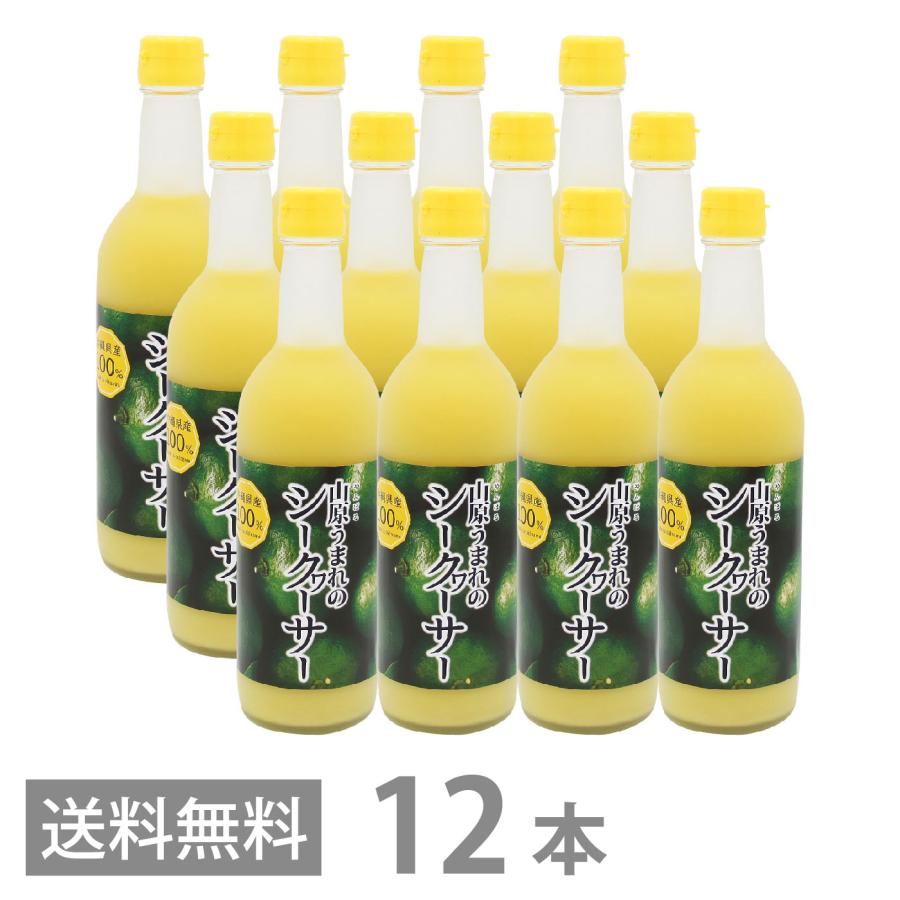 山原うまれのシークワーサー 500ml ×12本セット 送料無料 沖縄産 山原