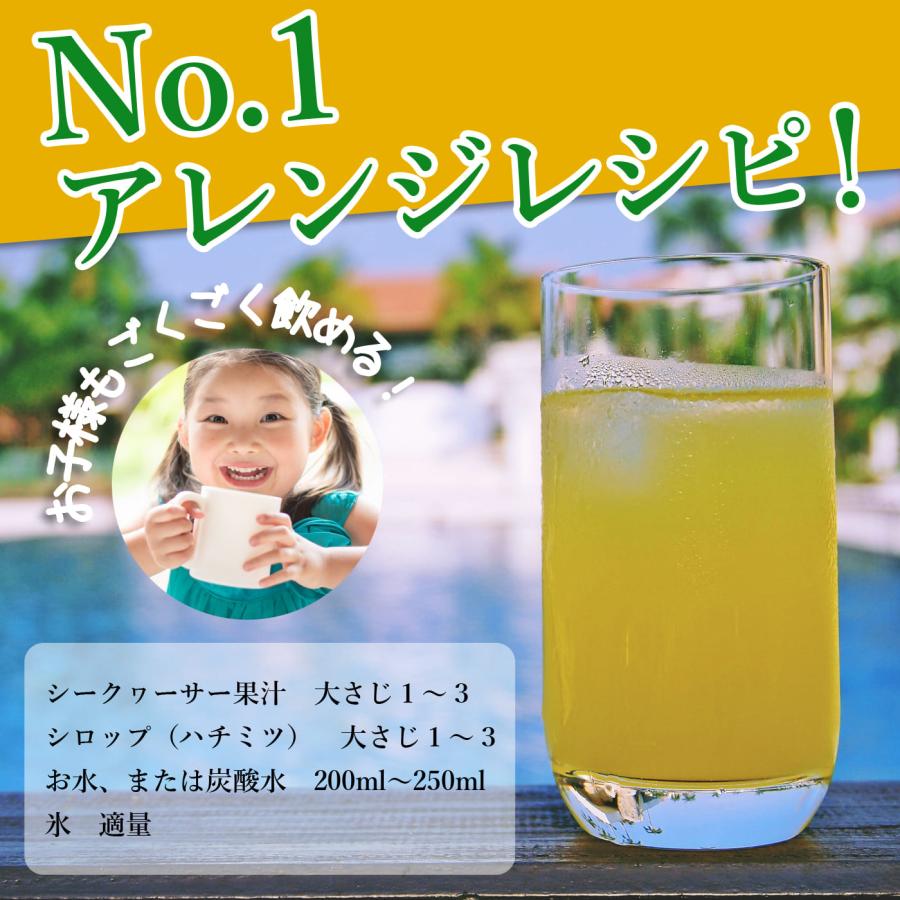 山原うまれのシークワーサー 500ml ×12本セット 送料無料 沖縄産 山原