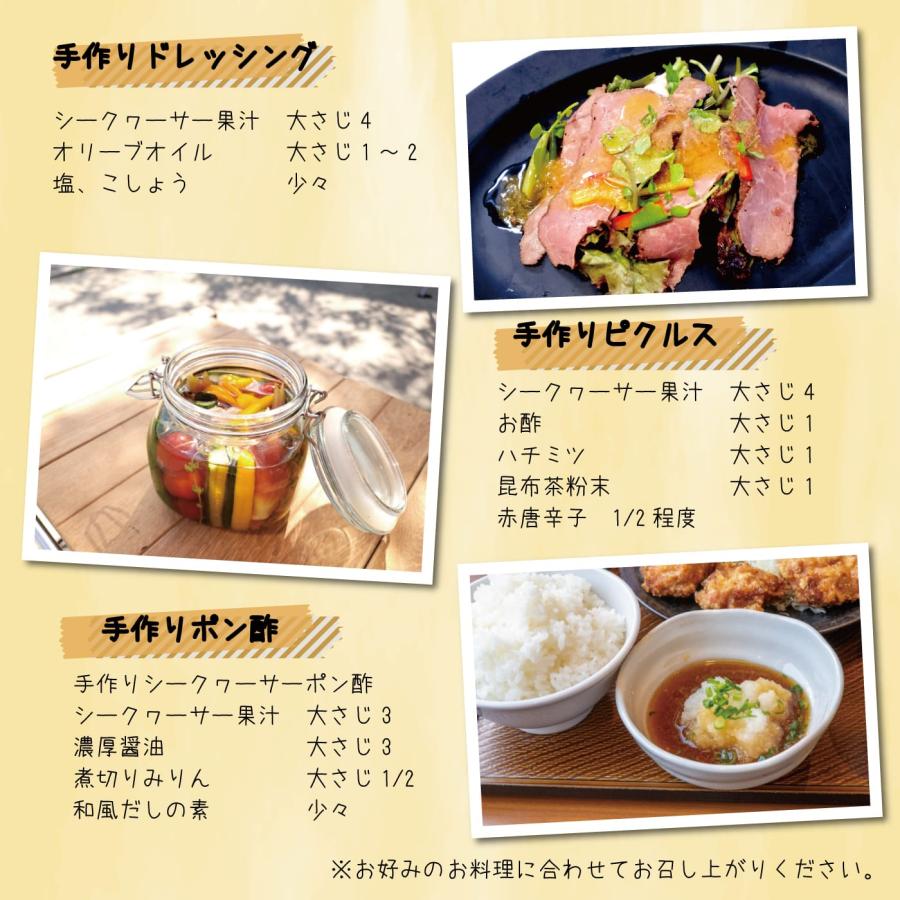 山原うまれのシークワーサー 500ml ×2本セット 送料無料 沖縄産 山原 シークヮーサー 原液 100% ストレート ノビレチン ジュース |  | 06