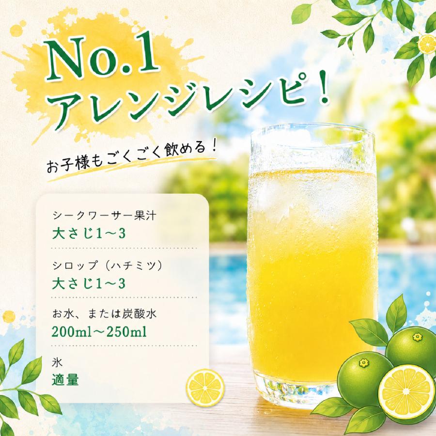 山原うまれの シークワーサー 500ml ×2本 シークヮーサー 原液