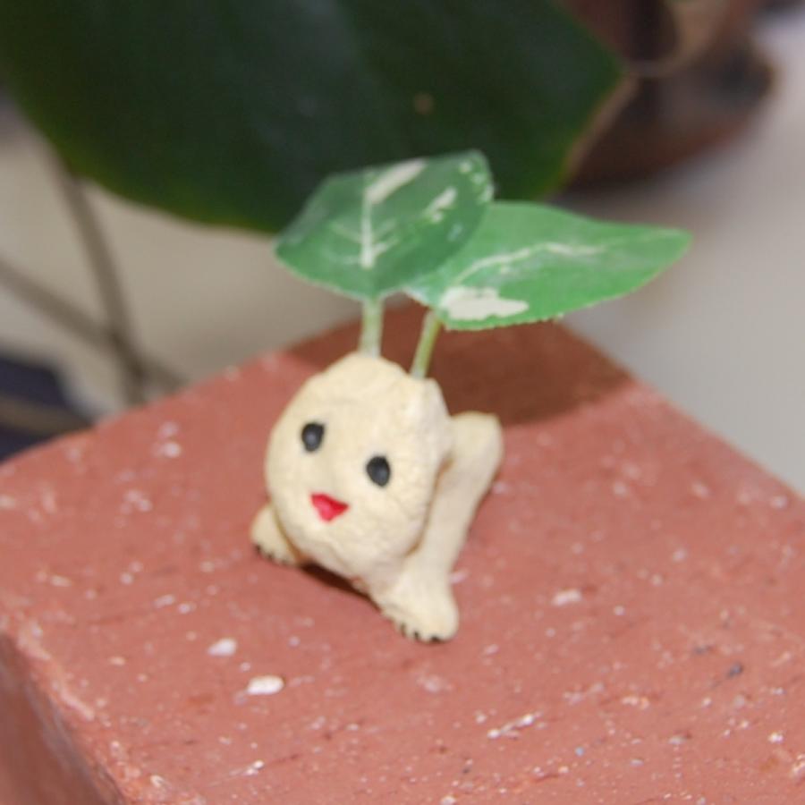 ロハスシーサー 沖縄シーサー専門店 琉球窯 通販 Yahoo ショッピング