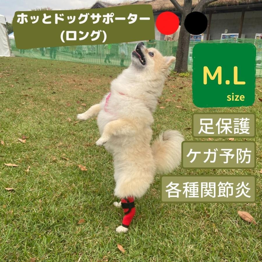 Sale 69 Off 犬 足 サポーター 保護 プロテクター ホッとドッグサポーター ロング 中型犬 大型犬 両足兼用 Dprd Jatimprov Go Id