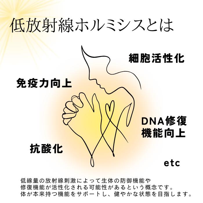 ホルミシス美温 ラジウム温熱器 ラドン温熱マット ラジウム鉱石 温活 座布団 低放射線ホルミシス