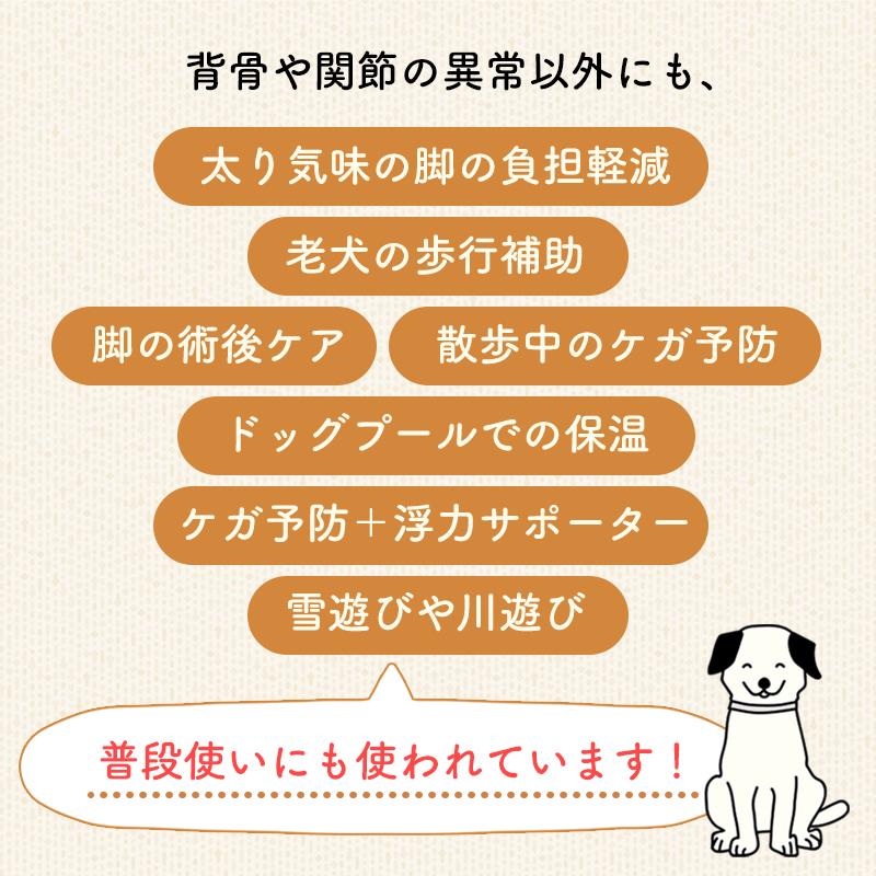 犬 足 サポーター 両足兼用 日本製 プロテクター 小型犬 SS〜Sサイズ 足保護 ひざ 関節サポーター 膝サポーター 関節保護 ナックリング｜ryuna｜04