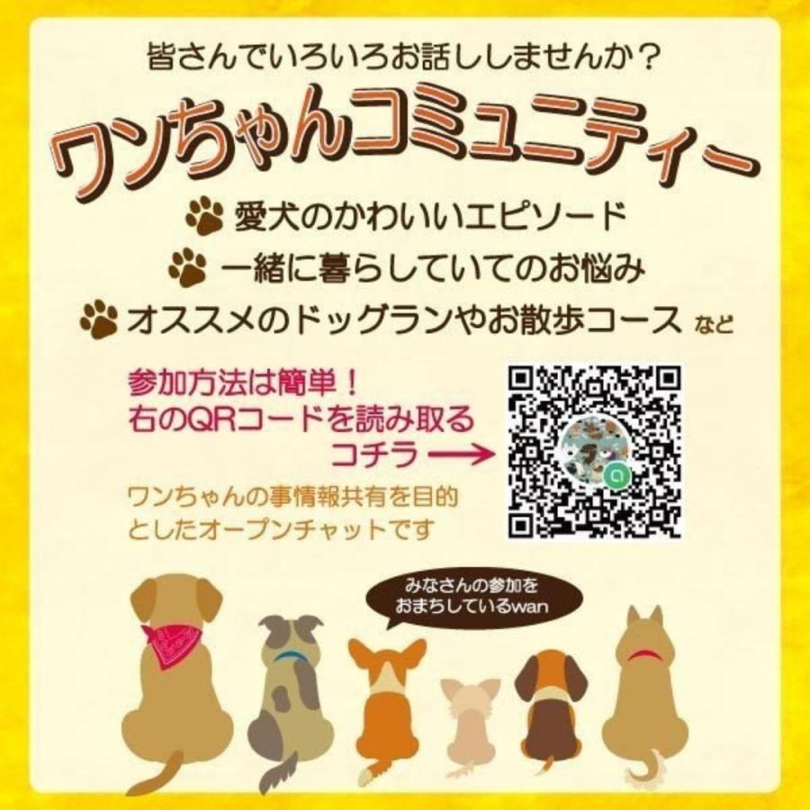 犬 肉球 保護 ケア 靴 シューズ 中・大型犬 2個入 日本製｜ryuna｜11