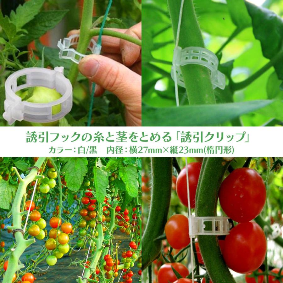トマトクリップ トマトクリップ 100個入り 誘引クリップ 園芸用クリップ ひもクリップ
