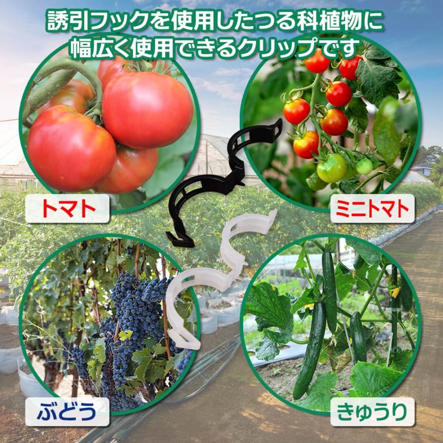 トマトクリップ 100個入り 誘引クリップ 園芸用クリップ ひもクリップ