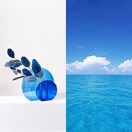 特別価格MESAILUP アクリルブルー花瓶 小さなラウンド モダン装飾花瓶 レストラン ベッドルーム リビングルーム コーナーエンドテーブル用並行輸入 