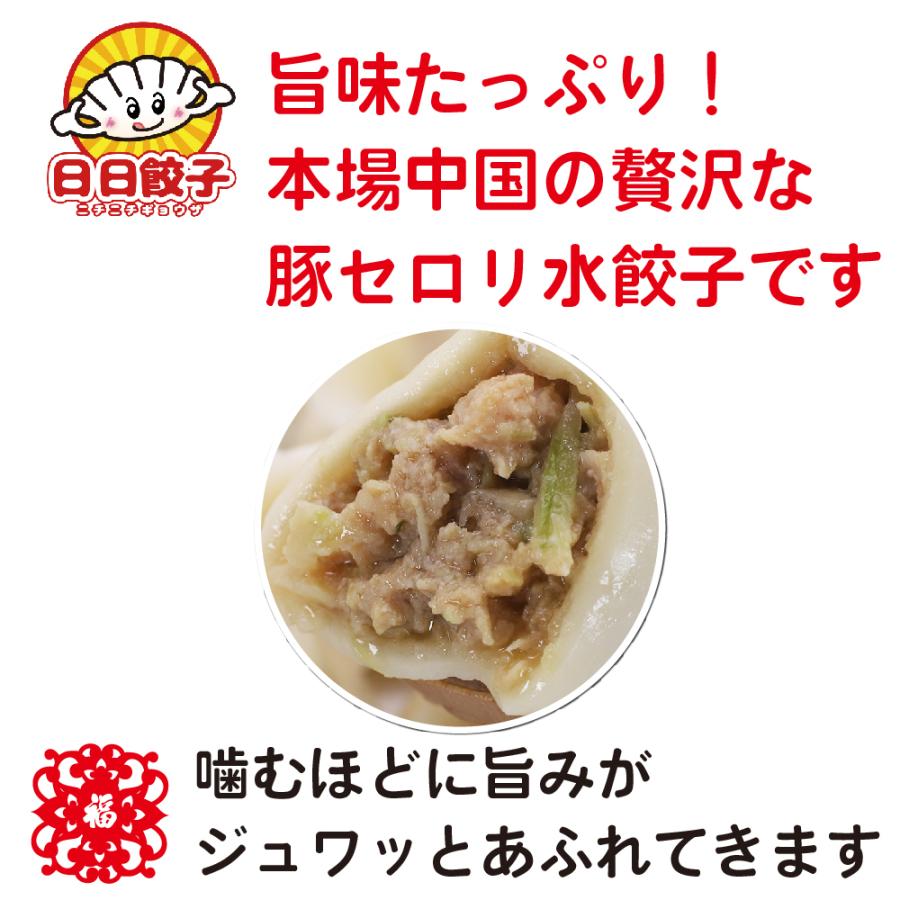国内最安値 龍泉日日餃子 豚肉とセロリ水餃子 もっちり厚皮 冷凍 おかず 大き目 10袋 6 0kg 約300個 55 以上節約 Www Mpdespachojuridico Com