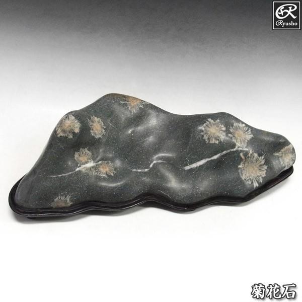 菊花石（台座付き）クリサンスマムストーン 黒色石 菊花石 約14.5kg 台