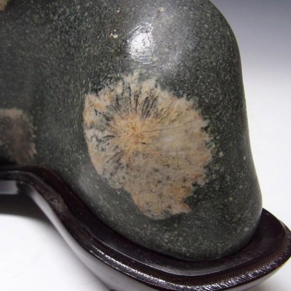 最終価格　菊花石　 天然石 鉱物 置物 no260thum01-photo.jpg