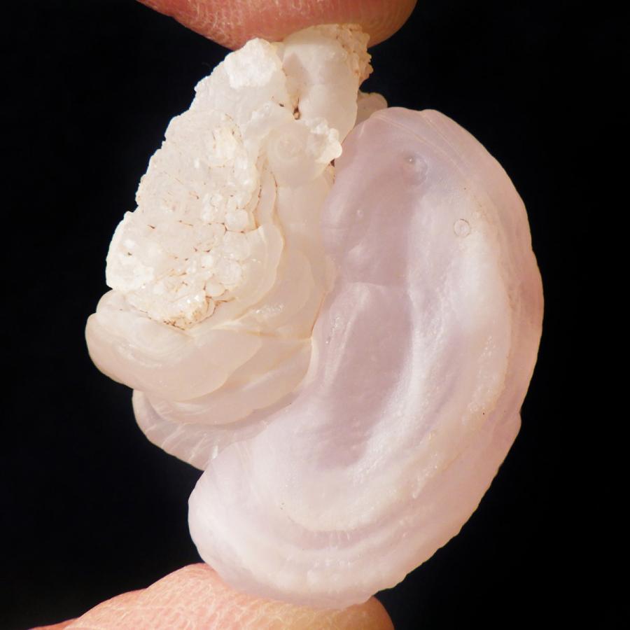 ピンクカルセドニー 原石 結晶 アメリカ・ニューメキシコ州産 玉髄