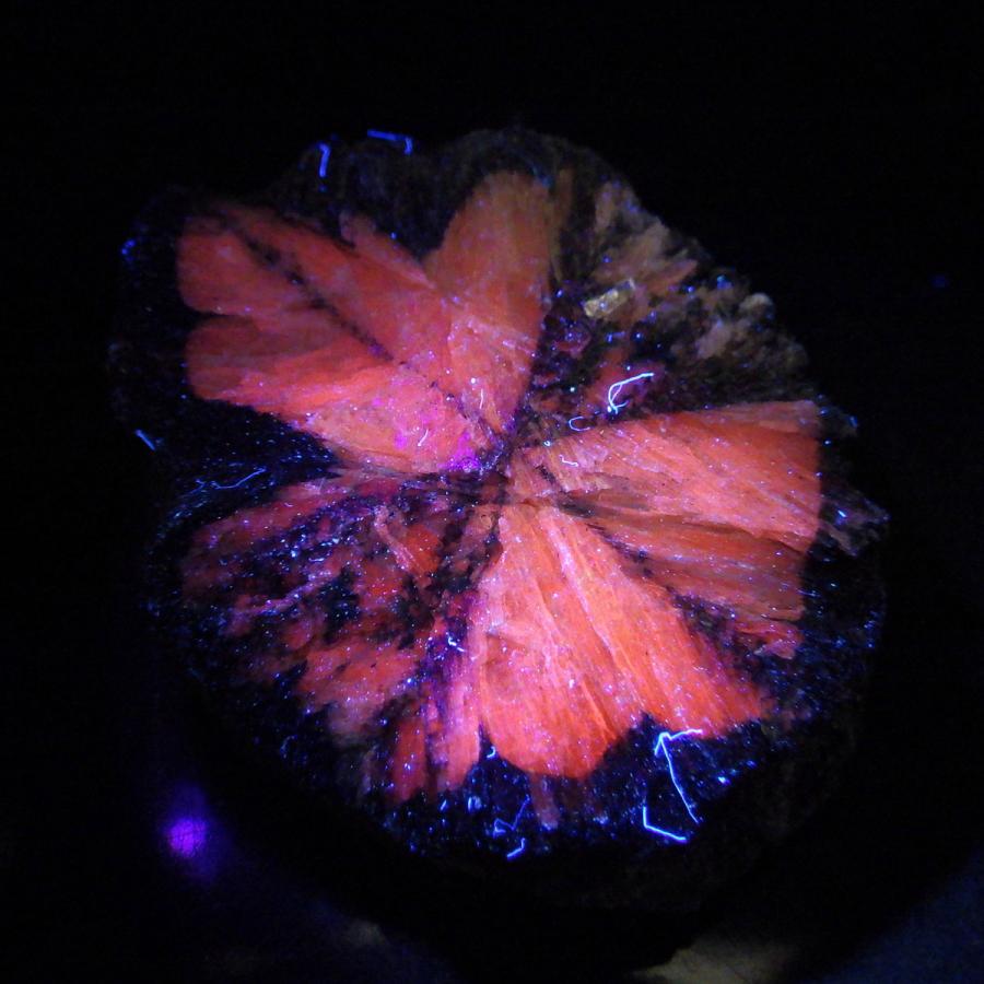 キャストライト 原石 ロシア産 空晶石 蛍光 天然石