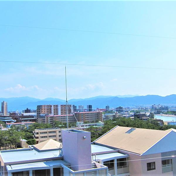 ランキング第1位 鳩よけ 鳥よけ ベランダ 防鳥テグス 鳩対策グッズ 日本初4段張り 特許出願中 ハトダス Columbiatools Com