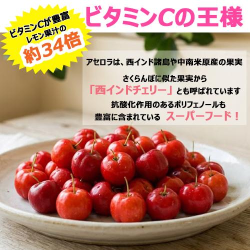 結実経験ありアセロラ苗 甘味系ハワイ種 18cmポット 大苗 2鉢セット