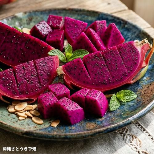 ドラゴンフルーツ苗 挿木苗紅白セット 小サイズ |沖縄 果物 果実