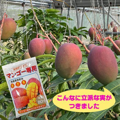 マンゴー肥料1.5kg | 沖縄 果物 果実 フルーツ 自家菜園 家庭菜園