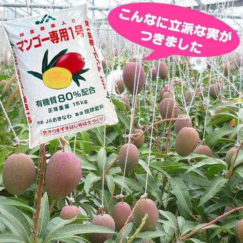 微量要素入りマンゴー専用1号(マンゴー肥料)15kg : りゅうか商事
