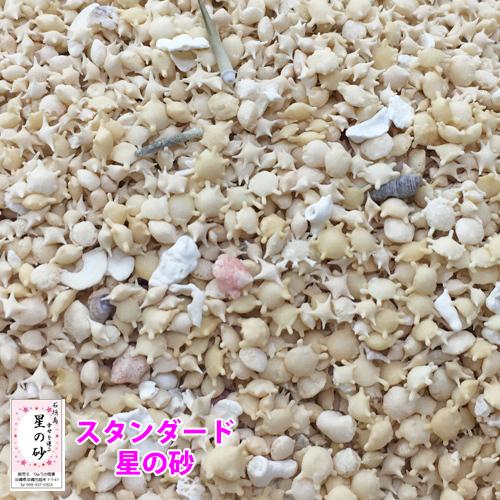 沖縄 石垣島 星の砂(星砂) 100g : りゅうか商事 - 通販 - Yahoo!ショッピング