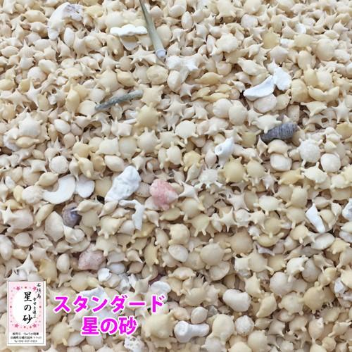 送料無料】沖縄 石垣島 星の砂(星砂) 10kg 業務用 大量販売 : りゅうか