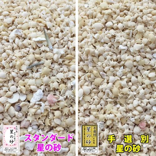 送料無料】沖縄 石垣島 星の砂(星砂) 1kg 業務用 大量販売 : りゅうか