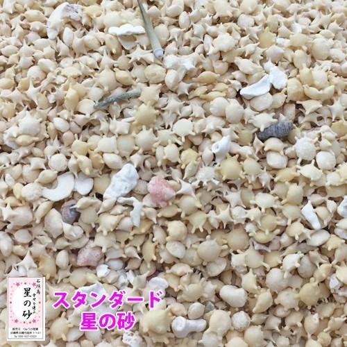 沖縄 石垣島 星の砂(星砂) 300g : りゅうか商事 - 通販 - Yahoo