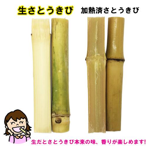 沖縄県産 生さとうきび400g×3パックとサトウキビの搾り汁だけで作った黒糖200g セット｜ryuuka｜04