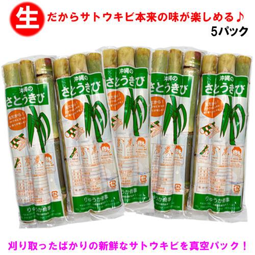 オープニング 大放出セール 送料無料 沖縄県産 生さとうきび サトウキビ 食用 400gパック 5 Dprd Jatimprov Go Id