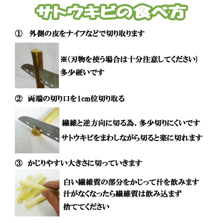 沖縄県産 生さとうきび(サトウキビ) 食用 400gパック×5 : りゅう 沖縄県産 生さとうきび(サトウキビ) 食用 400gパック×5 : りゅう